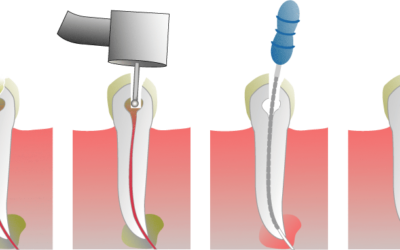 Tumquam ratione 33 laudantium veniamt nihil